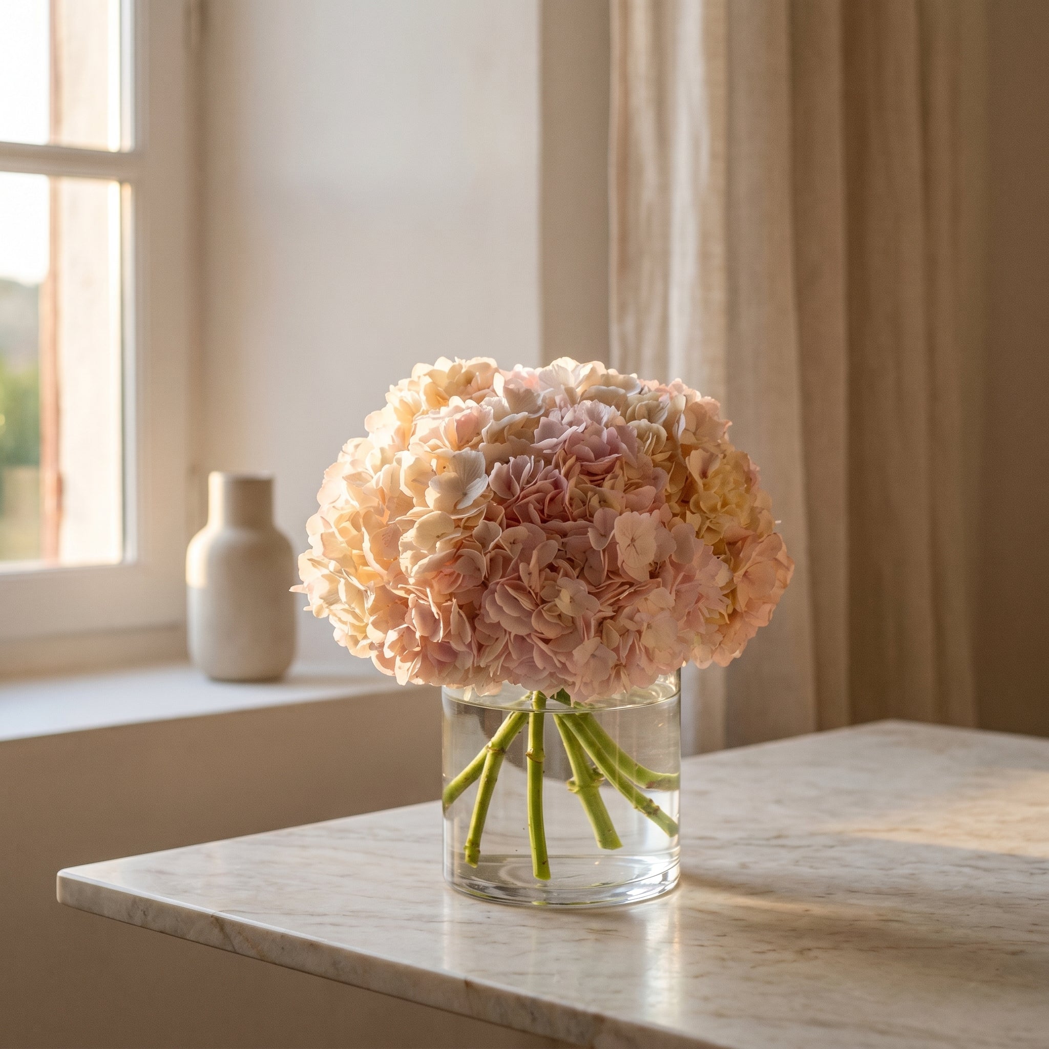 HYDRANGEA