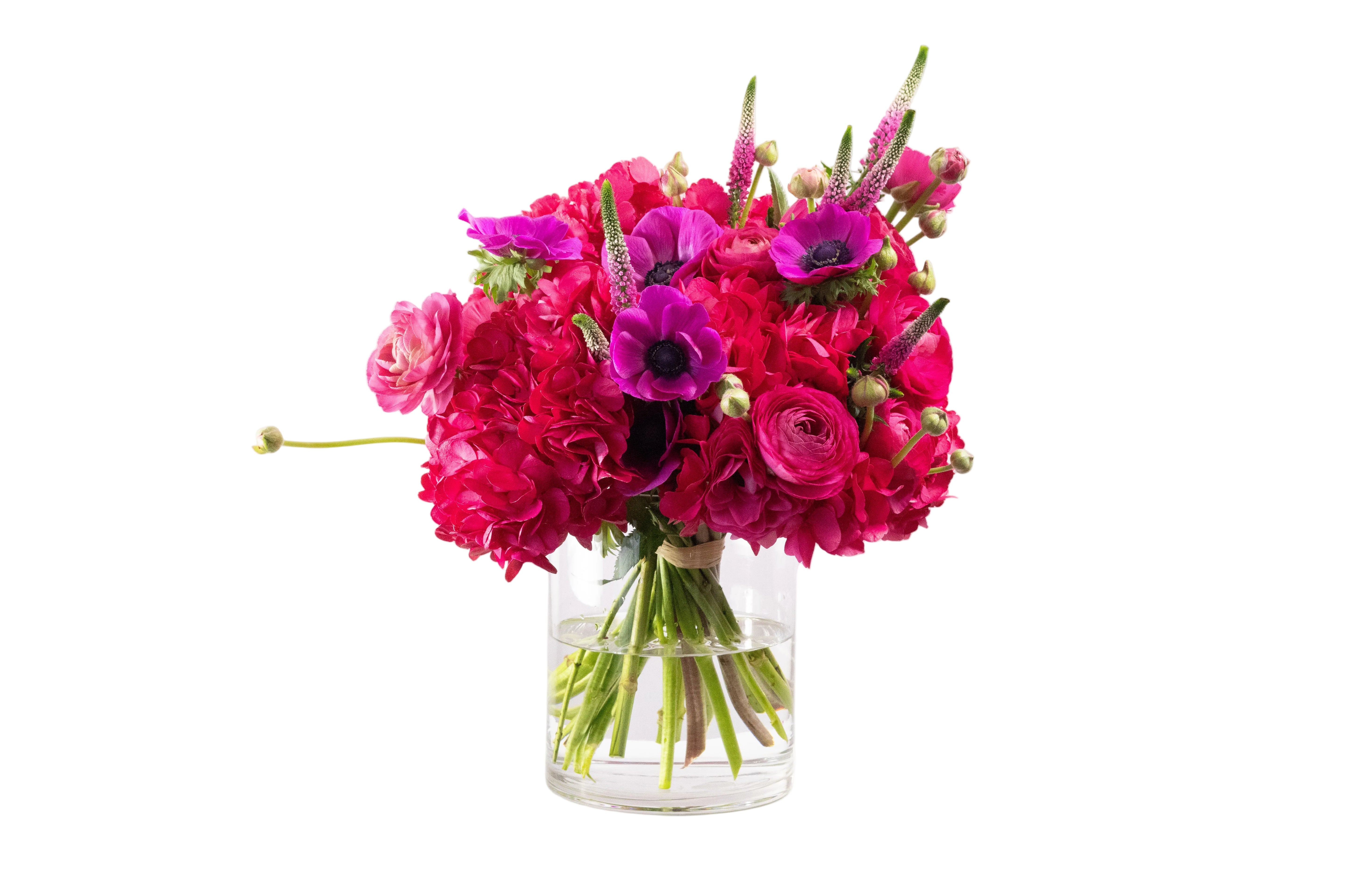 FUCHSIA