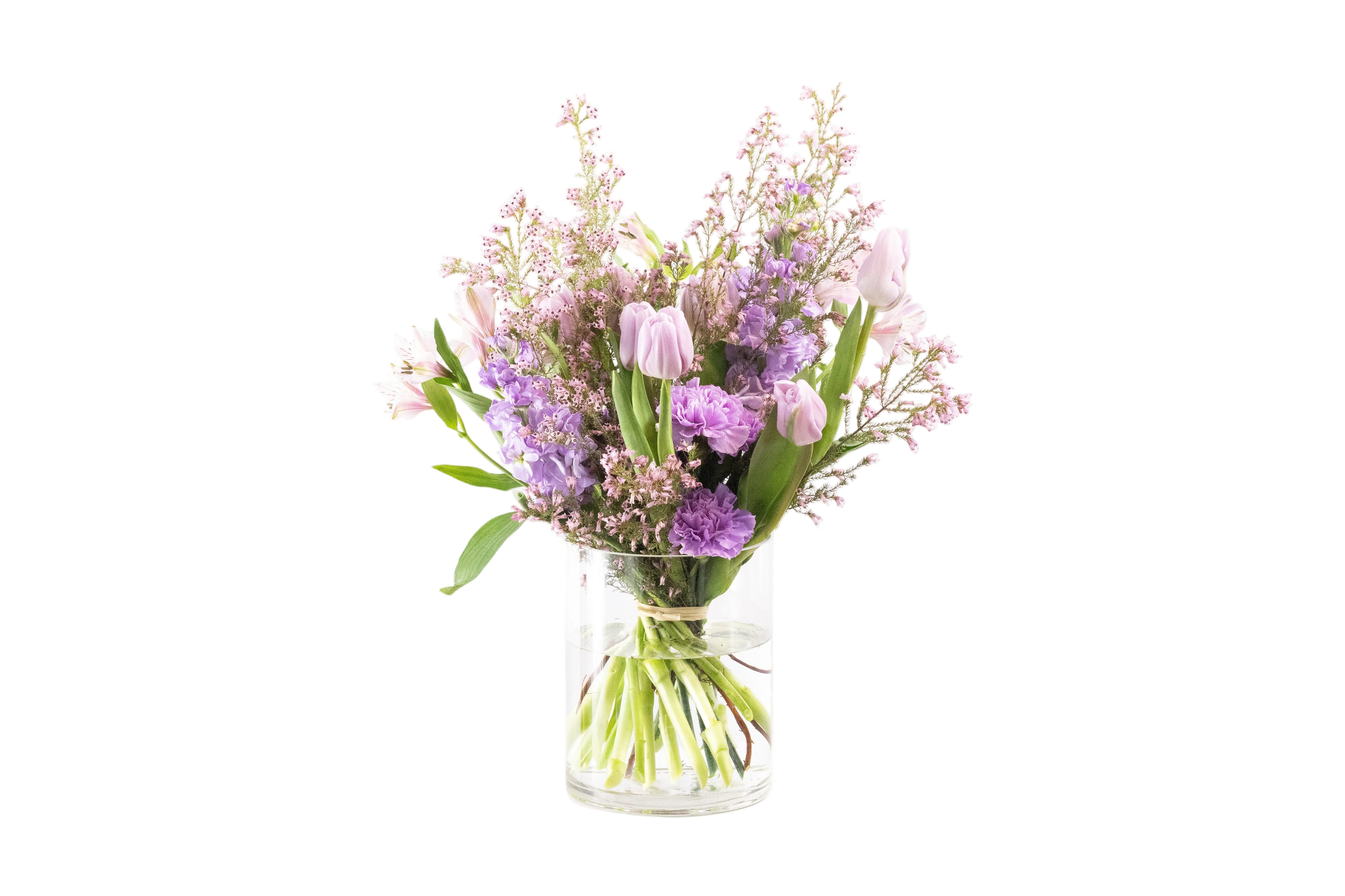 MAUVE