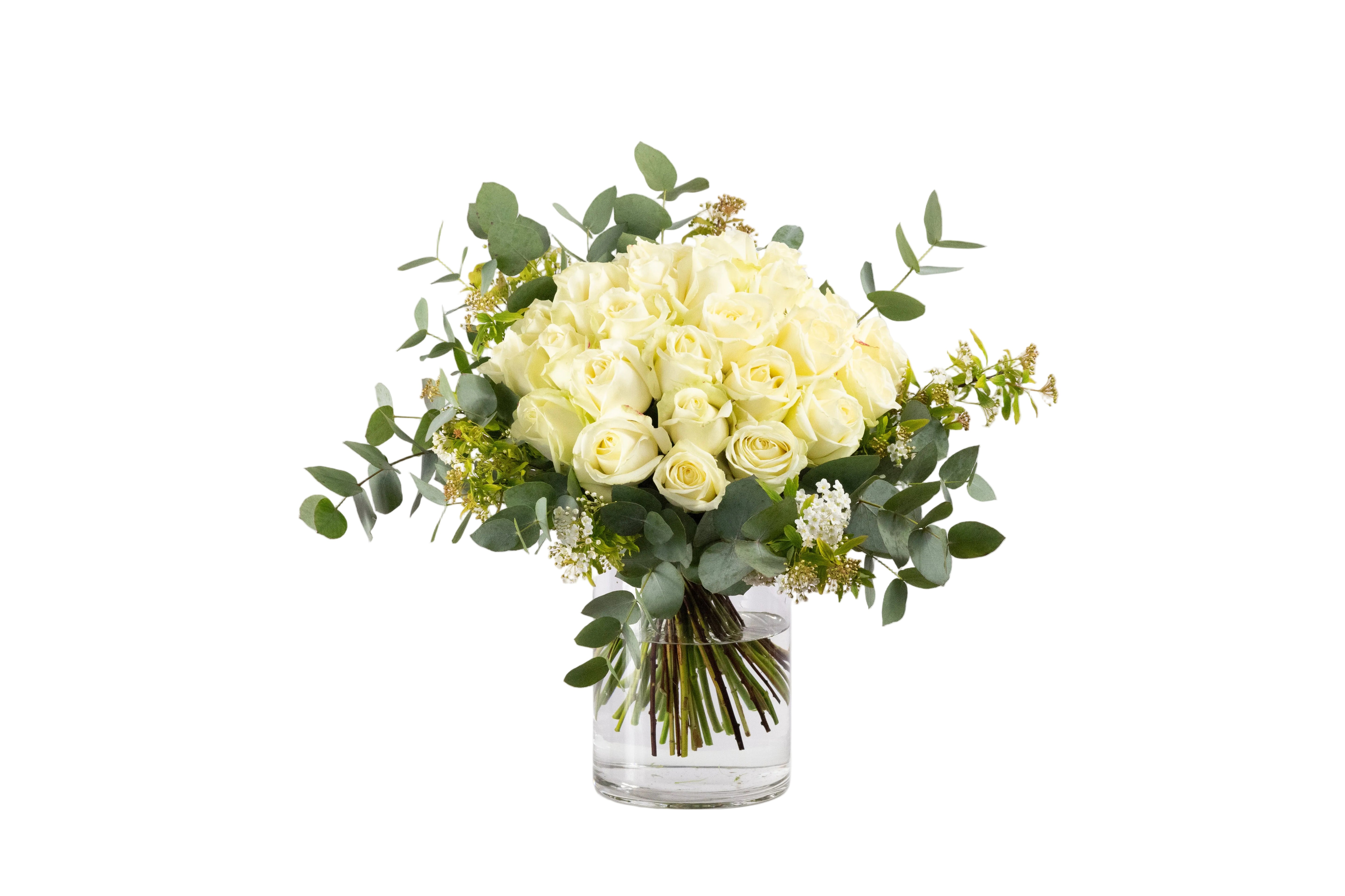 Roses Blanches